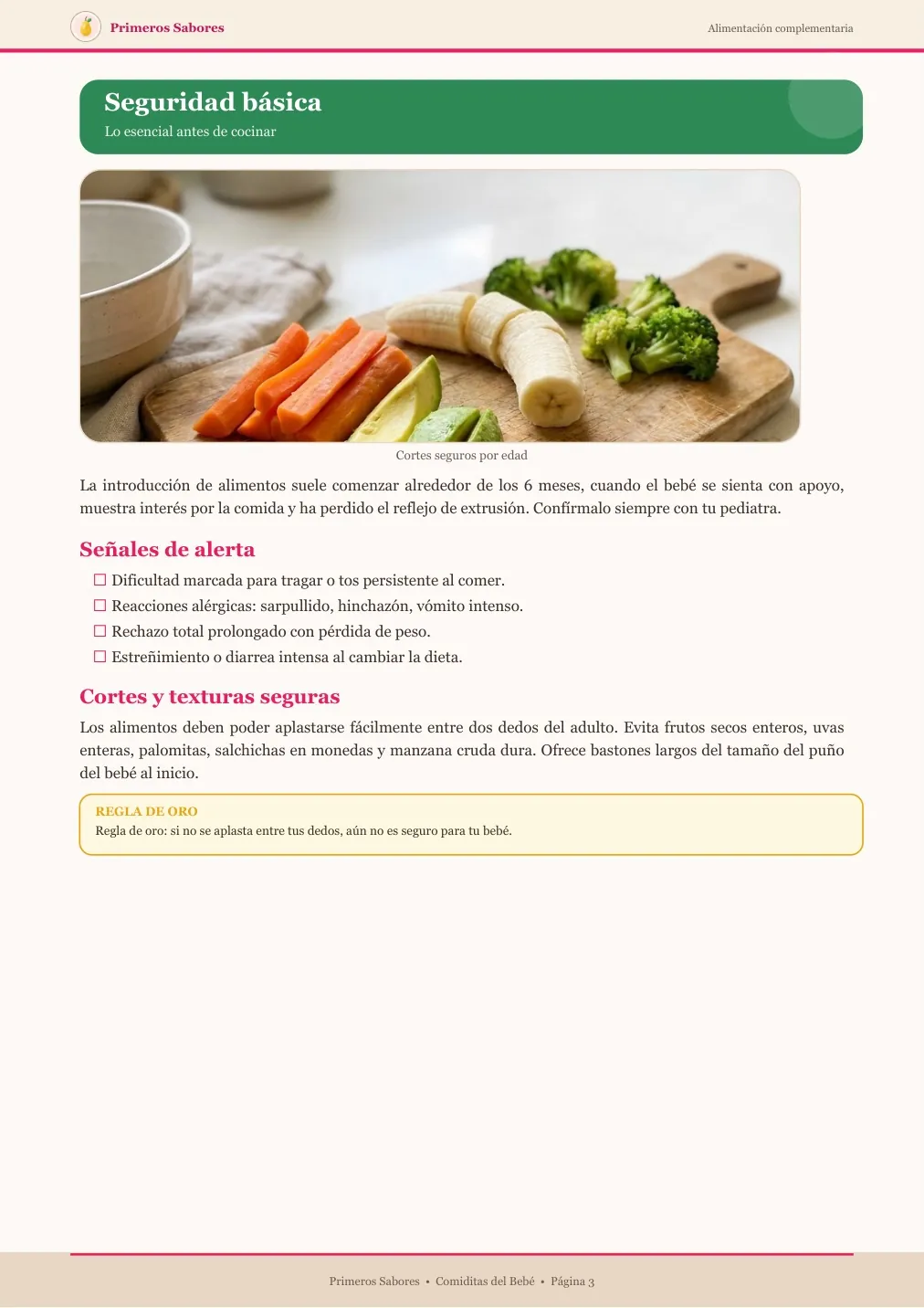 Seguridad del protocolo